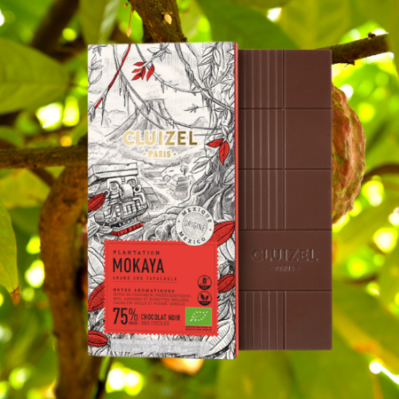 Chocolat Mokaya étui et tablette